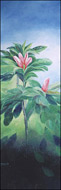 Magnolia lillieflora